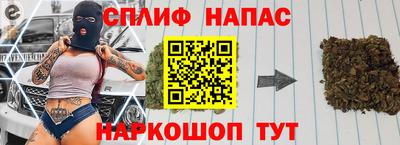 СК Шелехов