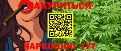 шишки Шахты