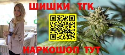 СК Шелехов