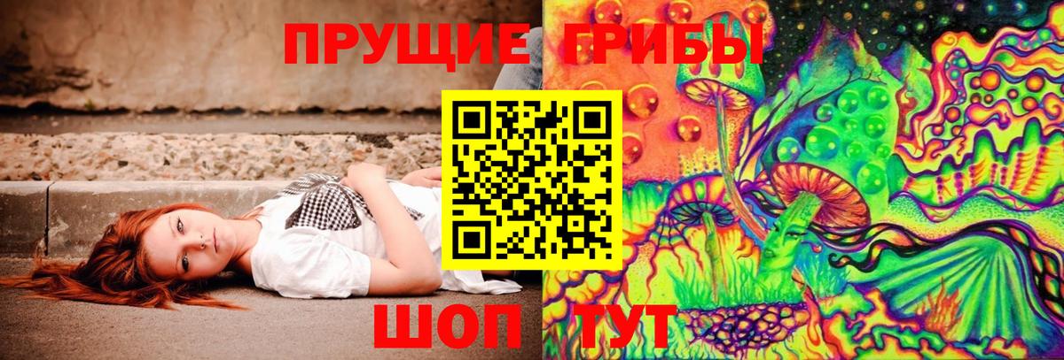 где продают   Вход с VPN  Сафоново  Псилоцибиновые грибы прущие грибы 