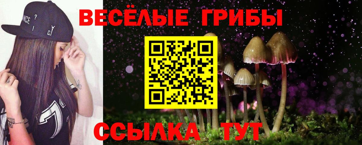 Галлюциногенные грибы Magic Shrooms Сафоново